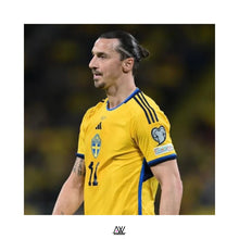 Load image into Gallery viewer, 2022-23 Sweden Home with Official Nameset (Fans)

